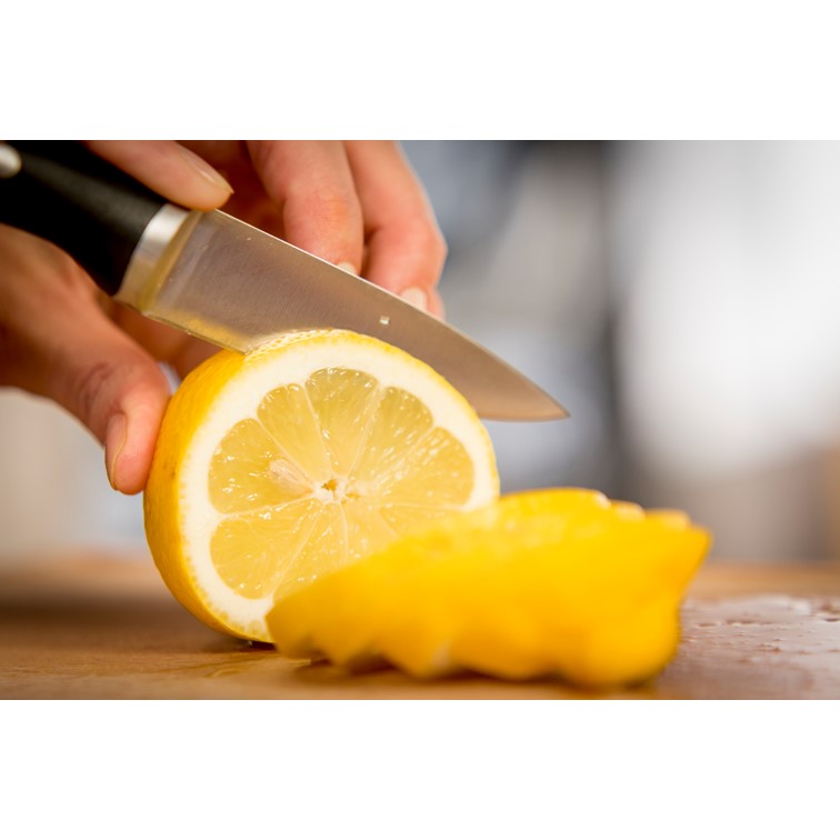 Tefal Ice Force Paring Knife 9cm K23205